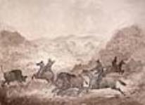 Chasse au bison dans les prairies de l'Ouest (Kansas) ca 1840