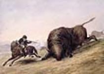 Chasse au bison, prairies de l'Ouest (Kansas) ca 1840 ?