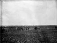 Fort Saskatchewan from North side of Saskatchewan River, Alberta 1886