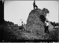 [Finlanders haying west of Port Arthur, Ontario. 1911] 1911