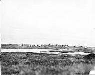 [Copper Eskimos, Coronation Gulf] June 1, 1916 1 June 1916