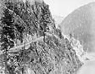 Cariboo Road 1867 - 1868