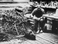 Beavers working on their lodge inside Grey Owl's cabin, Prince Albert National Park 1932