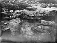 Carboniferous rocks, Fossil trees, Joggins Coast, N.S., 1879