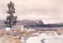 La route reliant Telegraph Creek et le lac Teslin : camp sur la rivière Mosquito avril 24, 1898.