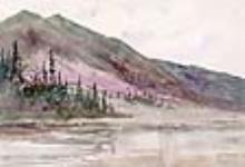 Fireweed on the mountain side at the mouth of Twenty Mile Creek on the Stewart River 7 July 1898