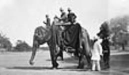 Hon. W.L. Mackenzie King riding on an elephant 25 Jan. 1909