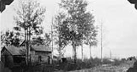 Alexander Badun's and Teodor Borysiuk's farm in Alberta 1930