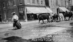 Unidentified woman and cows on Raglan Street [1907]