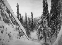 Mid-winter scene in the Yukon 1895