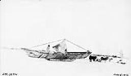 (Copper Eskimo uniak drawn on sledge) June 5, 1916 June 5, 1916.