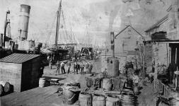 Preparing seal or whale oil for market 1891
