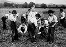 Photograph of boys training for work at the Philanthropic Farm School.