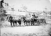 A.N. Birch sitting on a Government horsedrawn waggon 1864 or 1865