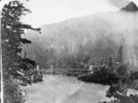 Alexandra Suspension Bridge on Fraser River, 14 miles above Yale 1865
