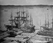 Ships loading timber ca. 1860 - 1870