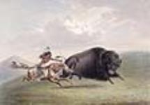 Chasse aux bisons 1844