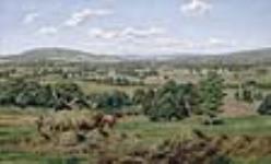 Harvesting Hay, Sussex, New Brunswick ca. 1880