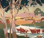 L'élevage du bétail 1926-1934.
