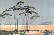 Australian Wheat, 1926-1934