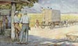 Tobacco Plantation in Nyasaland, 1926-1934