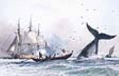 Pêche à la baleine ca. 1780