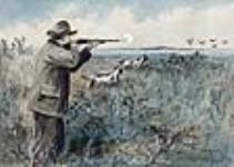 Chasse aux canards n.d.