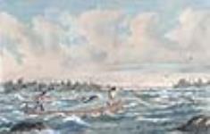 Pêche à Sault-Sainte-Marie 1869