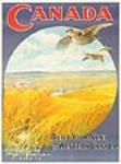 Build Your Nest in Western Canada 1907-1908