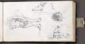 croquis de la tête et de la queue d'un cerf à queue noire 27 July 1862