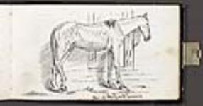 l'un des chevaux avec sa charge ca. July-August, 1862