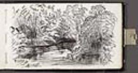Unidentified River Scene juillet - août 1862