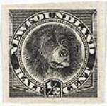 [Newfoundland dog] [philatelic record] 1898