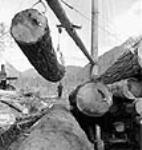 James Lee, de Stillwater (Colombie-Britannique), chef chargeur au camp debûcherons de la société d'abattage O'Brien, se tient debout près du mât de tête et dirige les billes levées par une grue dans un camion aux lacs Gordon Pasha Apr. 1944