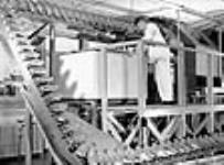 Un employé surveille des bouteilles contenant une culture de surface de pénicilline qui sont transportées de la pièce d'incubation jusqu'au moule à liquide au moyen d'un convoyeur à courroie aux laboratoires Merck May 1944