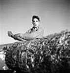 Lumberman Rosario Gravet of Maniwaki, Quebec using a cant-hook to unload a log onto a log "dump" at Sloe Lake Mar. 1943