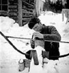 Le bûcheron Charley Buck d'Ottawa (Ontario) affûte les dents de sa scie àbûches pendant sa pause-repas au camp de bûcherons Mar. 1943