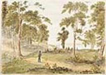 Longueil from Ste. Helen's Island ca. 1829-1832