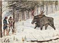 The Moose at Bay 1876