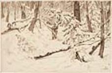 La coupe d'arbres abattus après une tempête de neige 1881