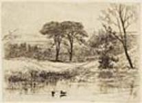 Pond with ducks ca. 1861-1889