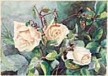 (Pink Roses) Done in Corsica 1898 1898