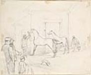 Activity in a Horse Stable ca. 1861-1899