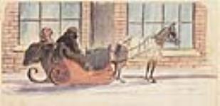 Une carriole, Montréal ca. janvier 1882