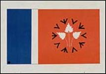 Flag Design 1964