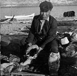 [Inuk man, Johnny Inukpuk, shows boots lined with bird skins] The Belcher Island natives are one of the few groups who still use bird skins for their clothing. Here one of the native men shows that the inside lining of his mukluk is made of bird skins 1949