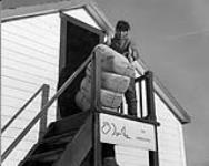 Inuk man bringing a bale of fox furs out of the Hudson's Bay Company warehouse at Pangnirtung for shipment aboard R.M.S. Nascopie August, 1946.