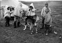 Inuit Children and Dog 1944