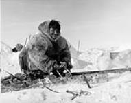 [Zachery Itimangnaq of Kugaaruk building and or repairing a sled. This type of sled was and is still used today to haul heavy loads.] 1953.