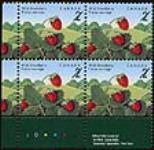 Wild strawberry = Fraise sauvage [philatelic record] / Art [by] Dennis Noble 1995